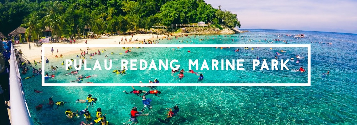 Image result for pulau redang